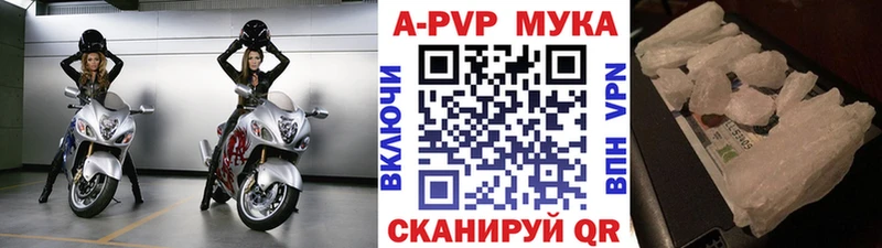 KRAKEN зеркало  дарнет шоп  Томилино  Alpha PVP СК 