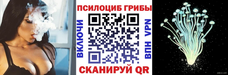 Псилоцибиновые грибы Cubensis мега ONION Томилино